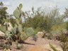 bg 06